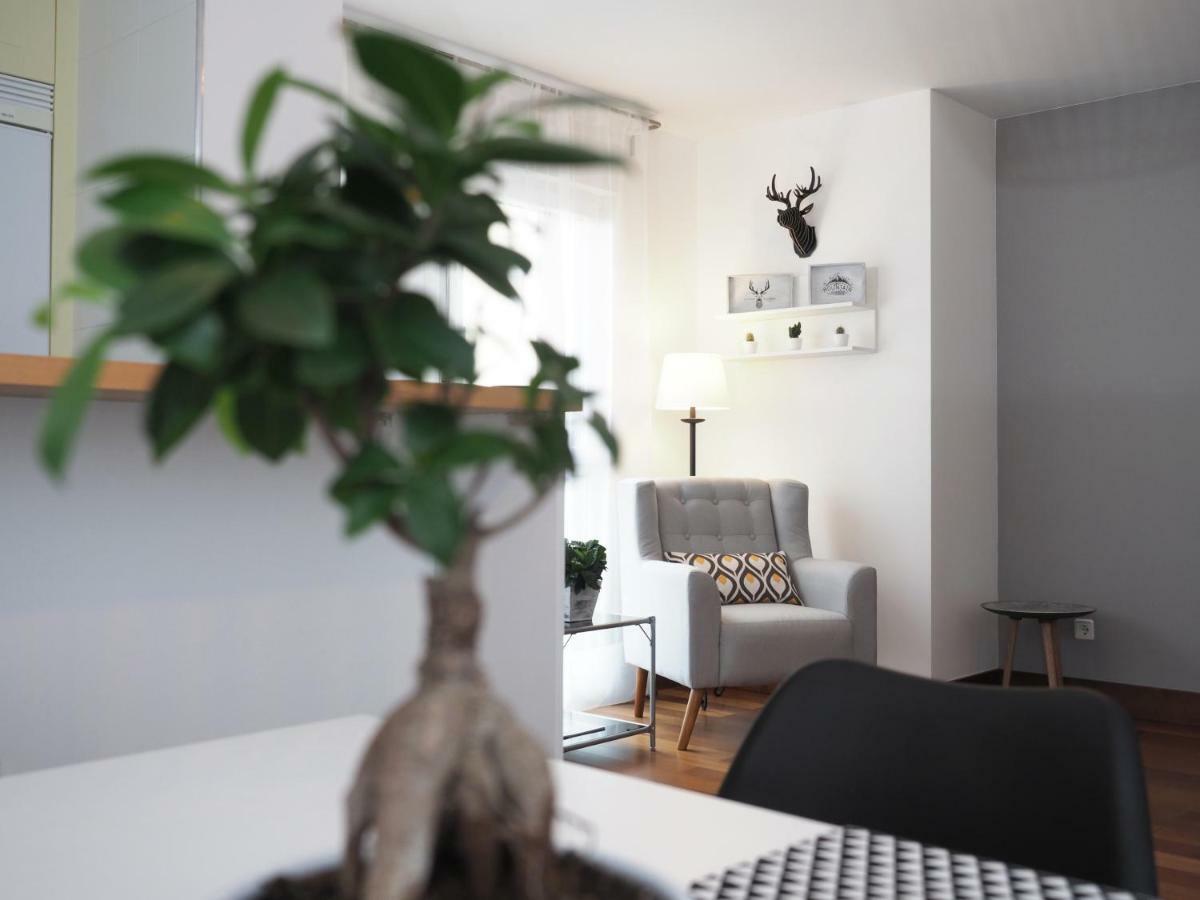 Apartamento Monte Perdido Boltaña Exteriér fotografie